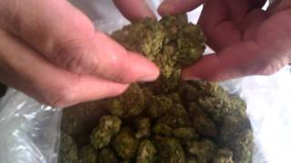 GreenHouse Medical Pineapple Kush
