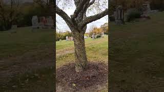 Custer cemetery walk with gravestones
