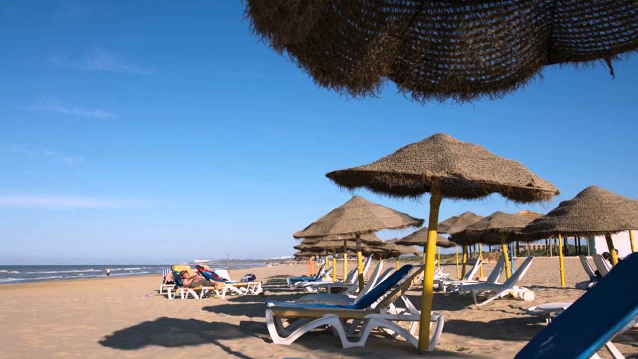 Caribbean тунис Caribbean тунис