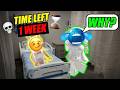 I Found My Soulmate With Only 1 Week Left #roblox #robloxstory