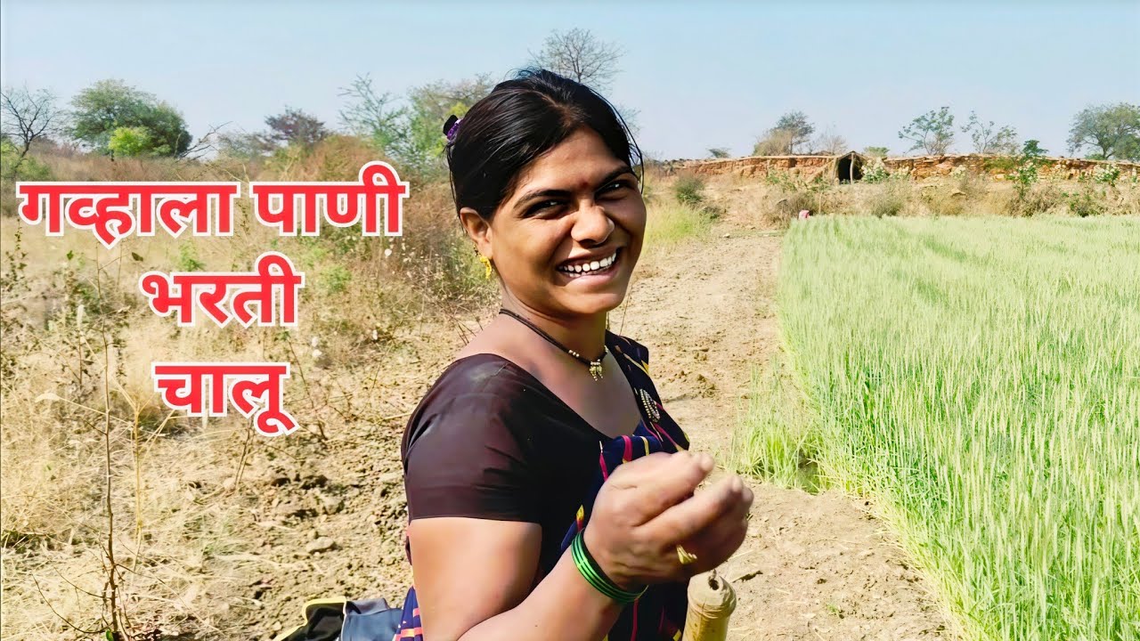 गव्हाला पाणी भरणी चालू आहे #rajshrimore #शेतकरी #शेतीचे विडीओ #farming #farming life