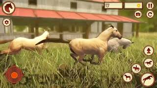 Virtual Wild Horse Family 15 sec screenshot 4