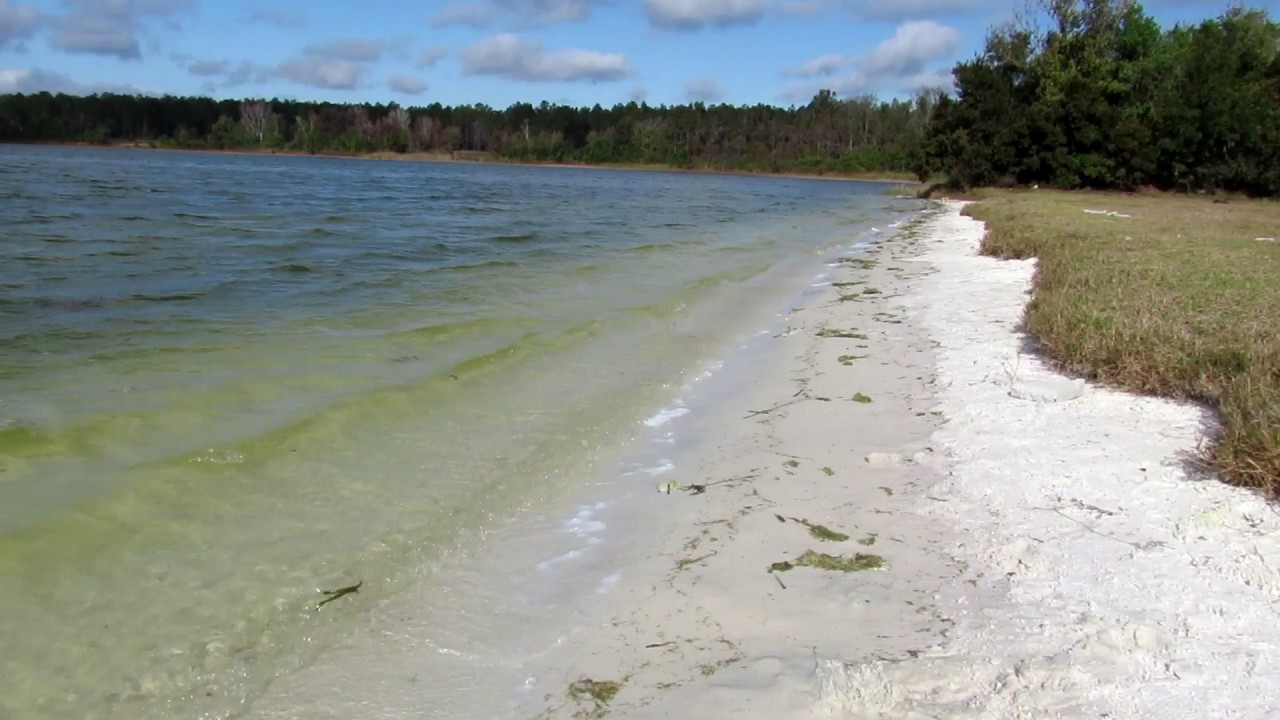 Carney Island Lake Weir YouTube