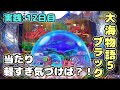 『大海物語5ブラック』当たりが甘デジかのようにあまい?! 実践:12日目