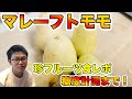マレーフトモモの特徴と食レポ! 糖度まで計測!Malay apple, Syzygium malaccense.