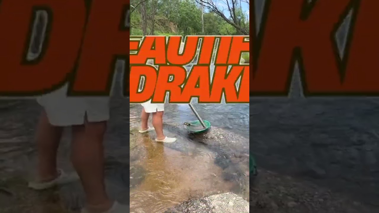 Золотоискатели в Австралии на месторождении Дрейк — просто объедение! 🇦🇺