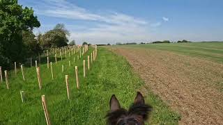 Sunday Hack 12th May 2024