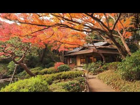 東京都庭園美術館 紅葉 Youtube 東京都庭園美術館 紅葉 Youtube
