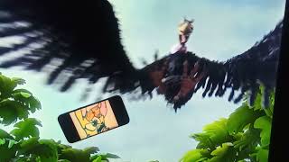 Vlad Vladikoff Scares Kayleyrebecka Ortiz Kangaroo