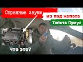 Toyota Prius/ Страшный звук из под капота автомобиля/ Доктор O -    Legion