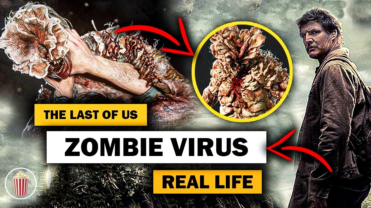 Zombie Virus in Real Life THE LAST OF US Explained How the Infection