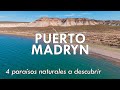 4 paraísos naturales a descubrir en Puerto Madryn | Provincia de Chubut