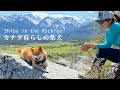 【熊と初遭遇】余裕で岩場を登るカナダの登山犬、柴犬ナラ｜アスペンの新緑と大展望のハイキング｜Shiba Inu | Bear | Hiking in the Canadian Rockies