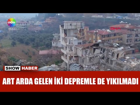 Güvercin evi depreme meydan okuyor