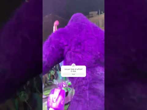 حد شاف الغوريلا بتعمل اي اخواتشي اكسبلور باندا ترند تيك توك الغوريلا ضحك لايك مهرجانات 