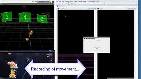 The MotionMonitor Spine Detail with Optical Motion Capture