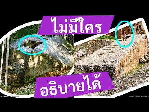 วีดีโอ: ธรรมชาติต้องการการปกป้องหรือไม่? อนาคตที่สดใสหรือภัยพิบัติทางนิเวศวิทยา