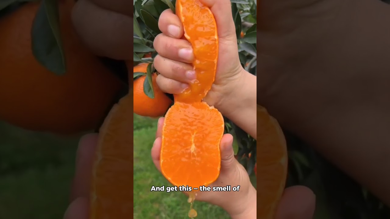 4 Amazing Orange Facts You Won’t Believe!