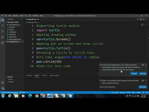 How to Clone Or Make circle in Python by using turtle.