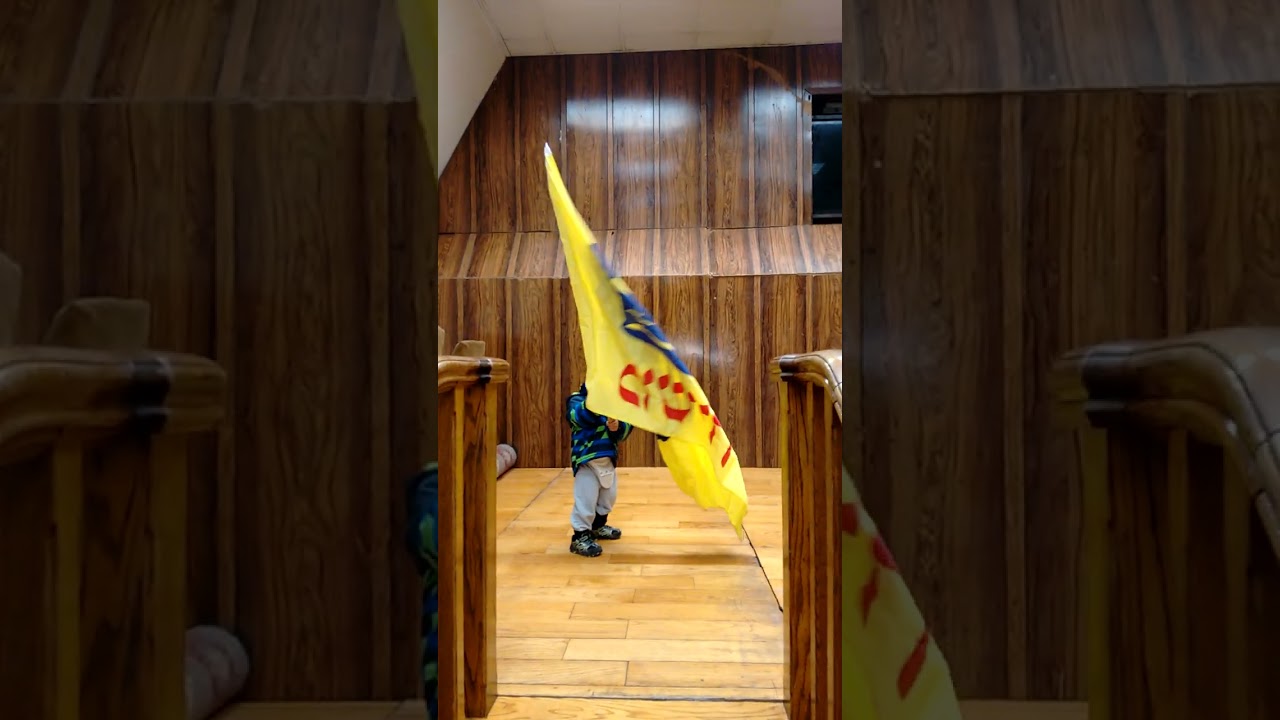 Meir Menachem Mendel age 2 Waving Moshiach Flag in 770 on the Rebbe's Stage.