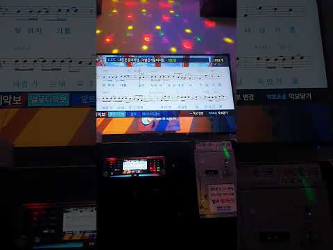 사랑은 봄비처럼... 이별은 겨울비처럼 - 임현정 (남자키) 노래방 커버