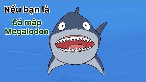 Nếu bạn là Cá Mập Megalodon  | Độc Lạ Sở Thú