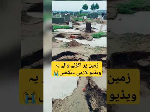 آخر کار سب کا یہی انجام ہونا ہے