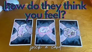 how do they think you feel? [ tarot pick a card ] Net Worth