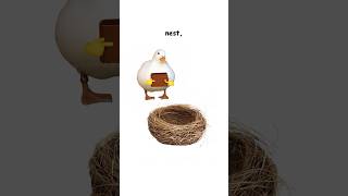 Debt (explained by ducks)