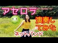 ネットバンド・n部 西沢さんP feat. GUMI / アセロラ をみんなで弾いてみた・歌ってみた【TAB】