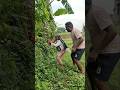 Sapuria Funny Video Snake Funny Video 