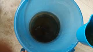 How to make the soil acidic. Make this solution using 2 ingredients to get more flowers on plants.