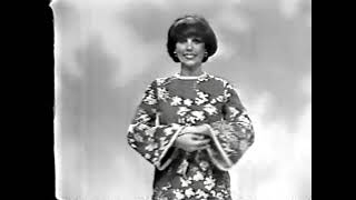 Stewart's Dept Store 1975 ad