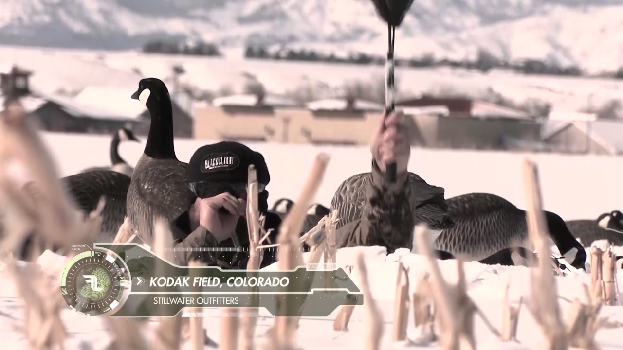 The Fowl Life with Chad Belding - Stillwater Whiteout - Outdoor Channel