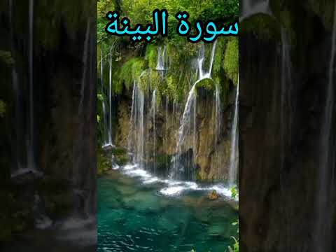سورة البينة القارئ عثمان مشعل الحداد