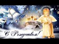 С Католическим Рождеством красивое видео поздравление✨❄️🎄 Открытка с Рождеством Христовым!✨