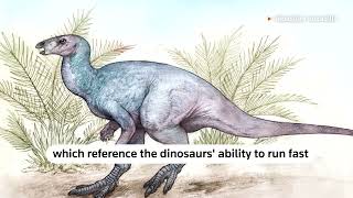 Scientists discover new dinosaur in Argentina | REUTERS