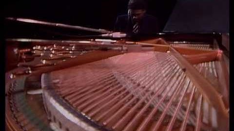 Dolphin Dance Live version - Live performance video thumbnail