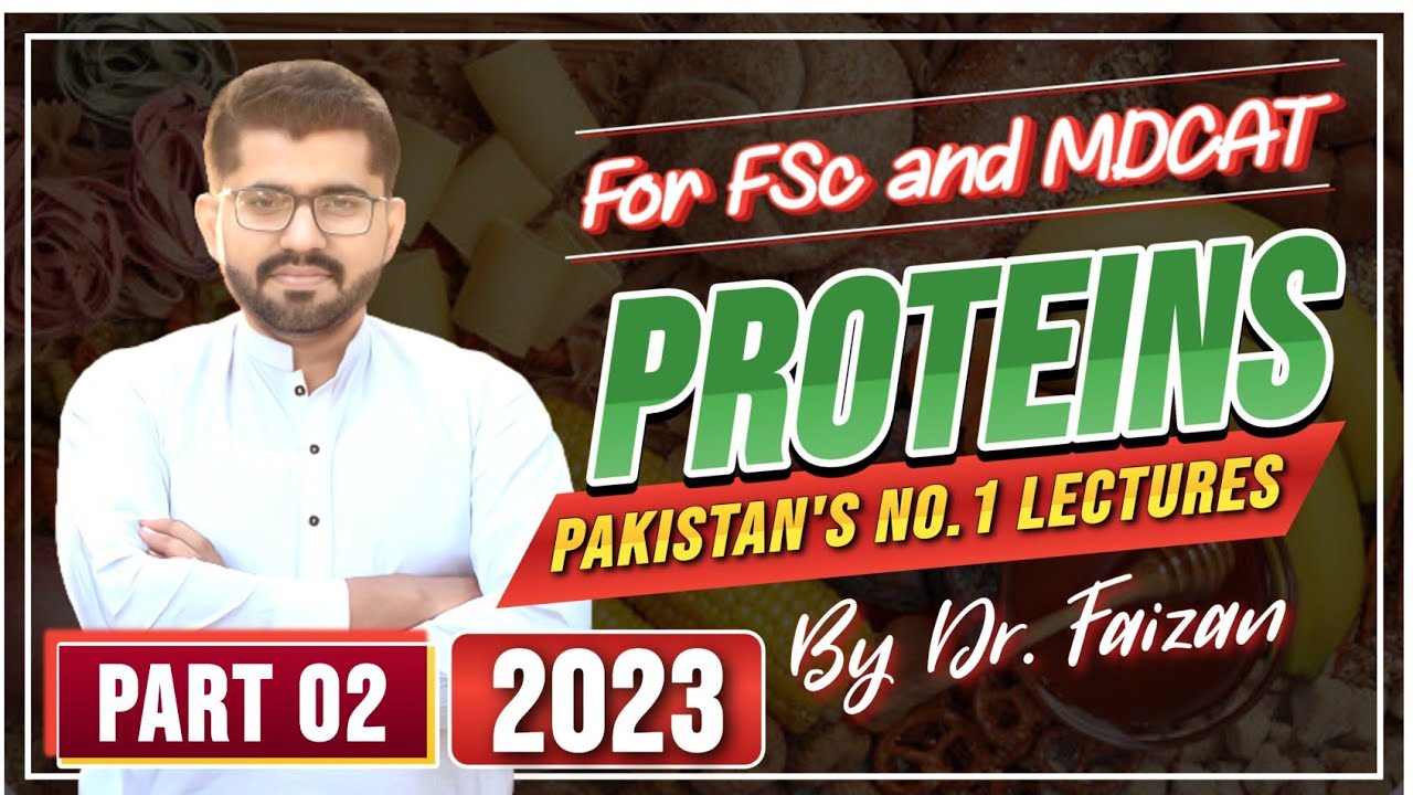 Structure Of Proteins Pakistan's No.1Lecture Part 2 FSc And MDCAT