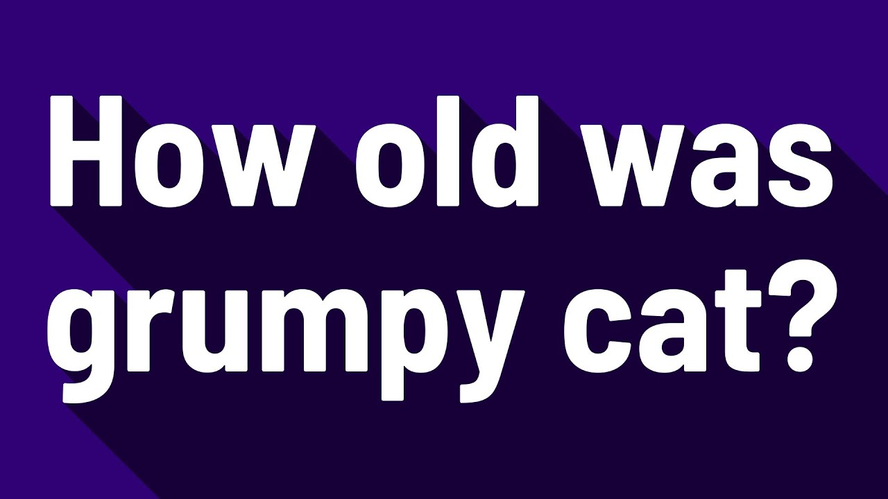 How old was grumpy cat?