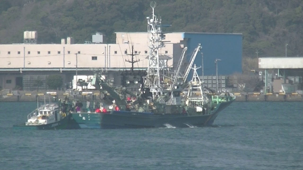 Hideのお暇日記 大師丸