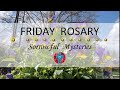 Friday rosary  sorrowful mysteries of the rosary  may 3 2024 virtual rosary  meditation