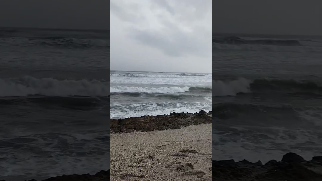 Thalassophile 💙🌊