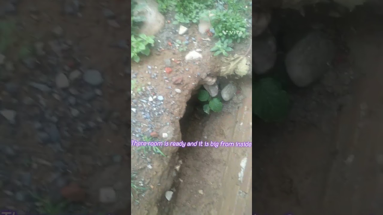 Room work on processing 😊 