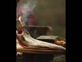 Amazing Yummy Style Roasted Grilled Fish Cooking