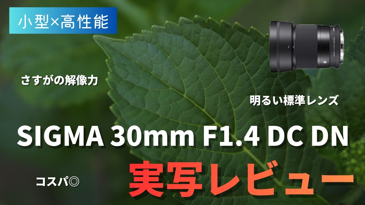 小型高性能】SIGMA 30mm F1.4 DC DN Contemporary 実写レビュー