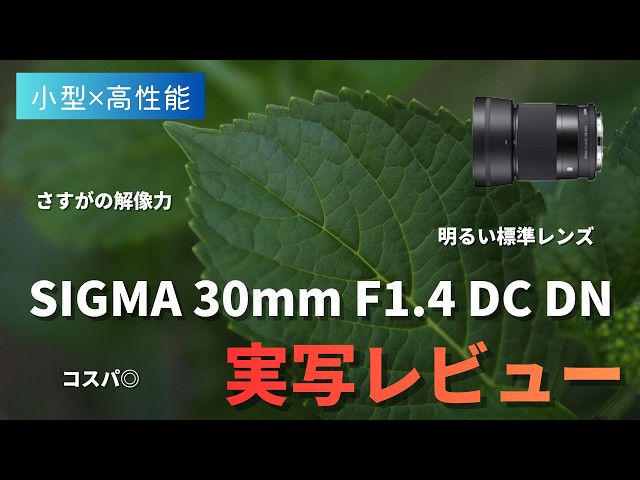 小型高性能】SIGMA 30mm F1.4 DC DN Contemporary 実写レビュー