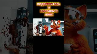 “Floating Latte”    #shorts #рекомендации #кот #cat #котик #котики