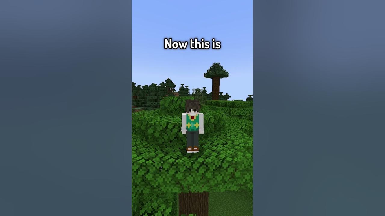 What Are The New Things In Minecraft 1.21