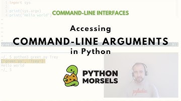 Accessing command line arguments in Python